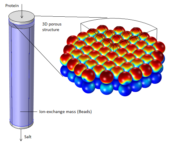 En la imagen se muestra la concentración de superficie de una de las proteinas adsorbida después de 2 segundos de funcionamiento, en la estructura porosa de una resina de intercambio de ionesen una columna de intercambio de iones. El gráfico de color muestra la concentración (rojo oscuro es 7 moles/m3 y azul oscuro es 0).