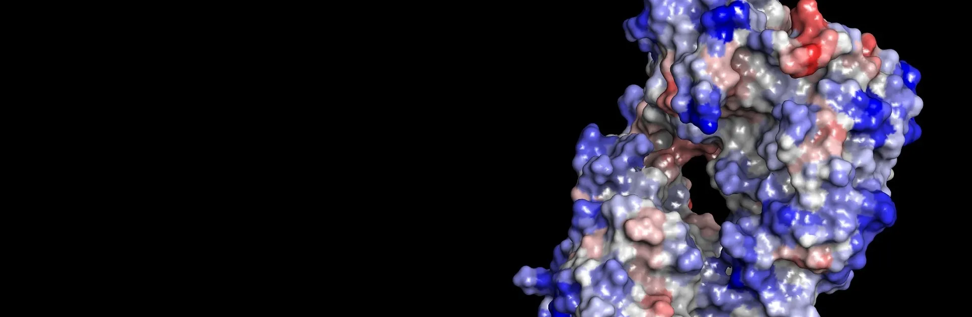 biovia discovery studio antibody modeling 1920x626.jpg