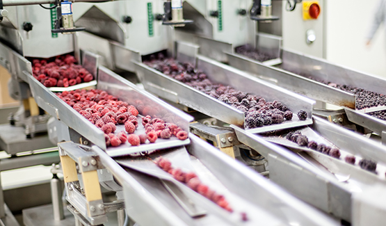 Sostenibilidad y ahorro en la fabricación de alimentos: 6 formas de eliminar los residuos