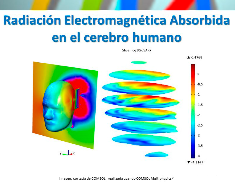 Radiación Electromagnética Absorbida (SAR) en el cerebro humano (con COMSOL Multiphysics 5.3)